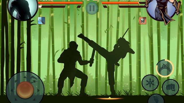 Летний Бой в Shadow Fight 2 № 312