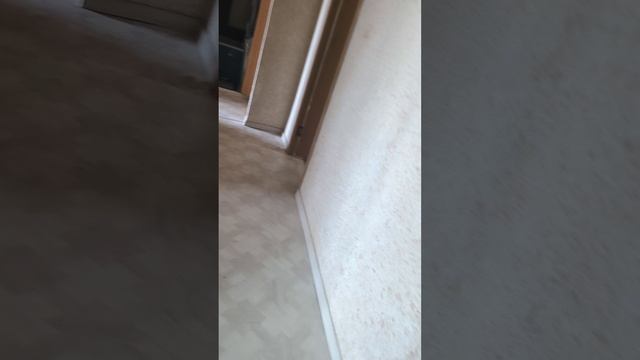 1000297958.mp4