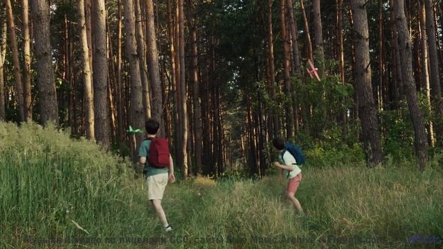 Сердце отдыхает под такие виды и ритмы - The Bright Lights of Summer -- Nihilore -- Best of 2020-202