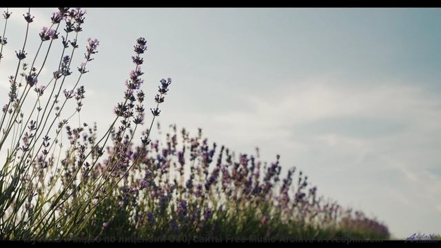 Что скрывают эти горы Смотри ДО КОНЦА! - Me and You -- Derek Clegg -- The Best Of Number 3