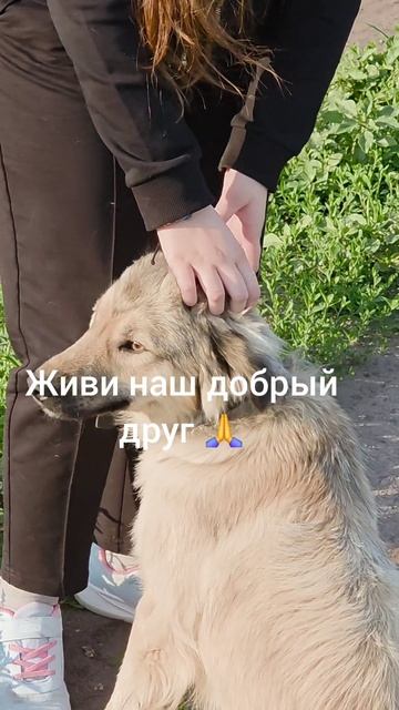 Он очень хочет жить