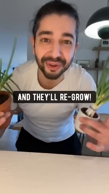 Grocery Hacks | Part 2 | creative explained