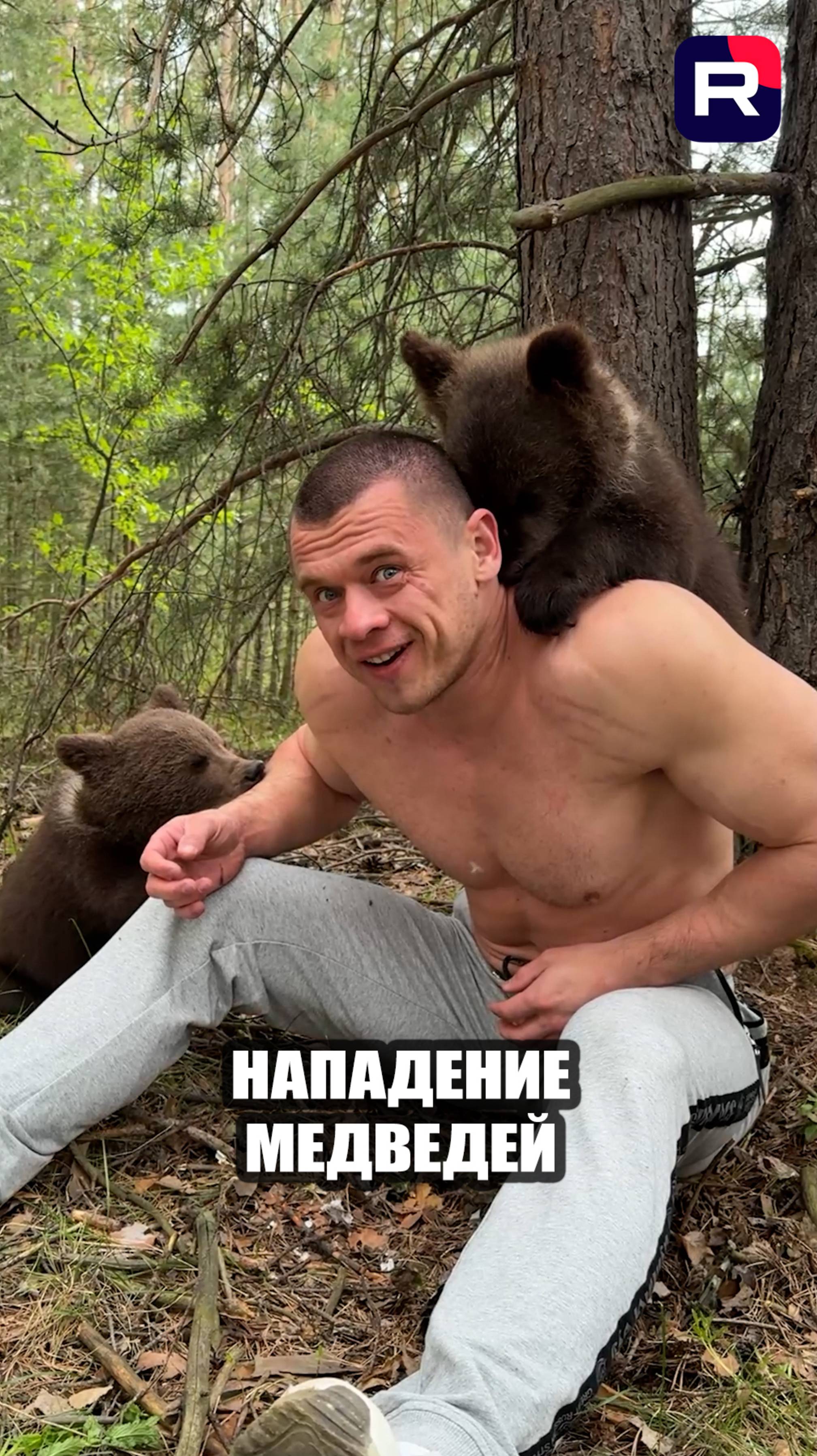 Нападение медведей!