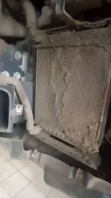 VID-20250617-WA0030