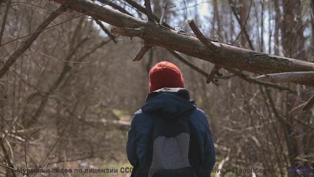 Видео, которое заставит вашего тестя расплакаться! - 20 Minute Meditation 2 -- HoliznaCC0 -- Space -