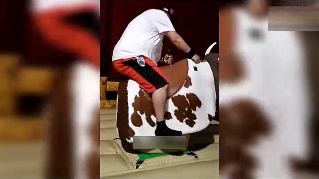 Всячинки