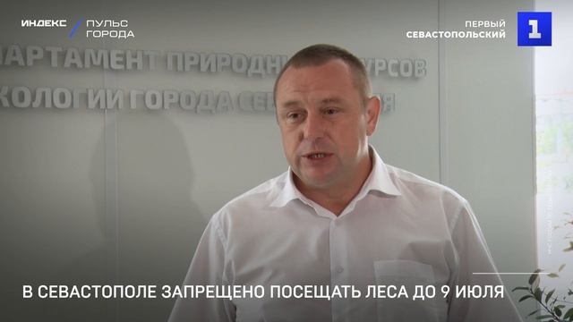 В Севастополе запрещено посещать леса до 9 июля