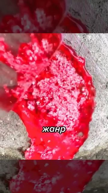 Самая опасная улитка в мире