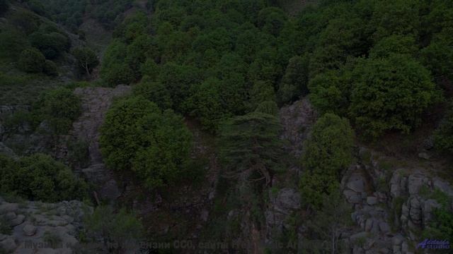Почему ученые боятся этой комбинации звуков и образов - Me and You -- Derek Clegg -- Old Town Worry