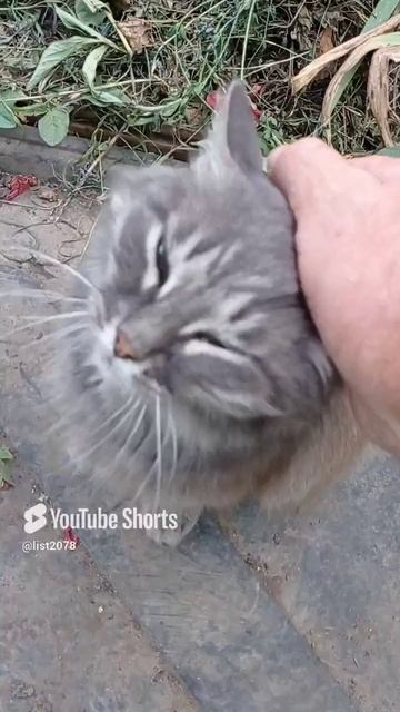 Божий дар
