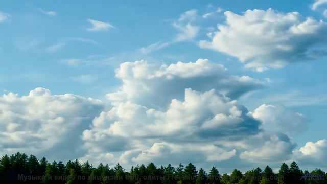Кадры природы, которые изменят ваше мировоззрение! - 1-il y a -- Bonne Humeur Provisoire -- Merak