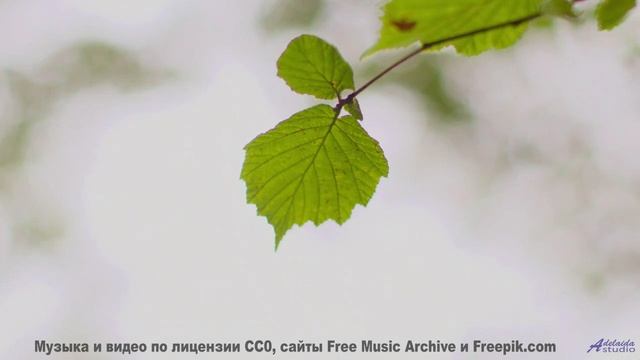 Пейзажи оживают, когда включается эта мелодия - Jah-River -- Ketsa -- Reflective Processes