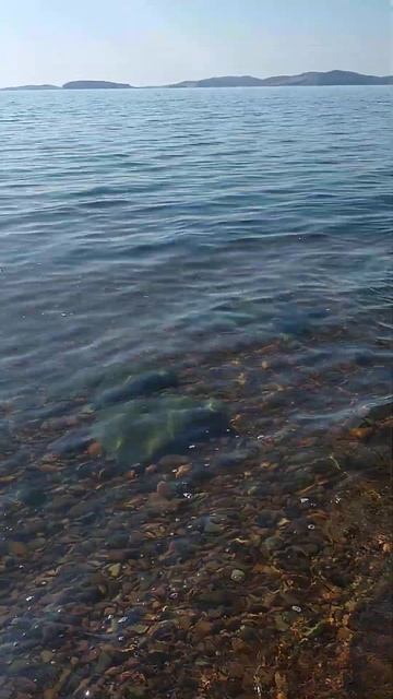 #владивосток #приморскийкрай #островшкота #nature #travel #природныепейзажи