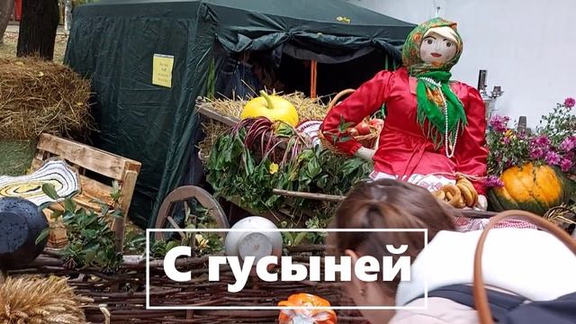 + Бабушка с ГУСЫНЕЙ.  (6) — 4