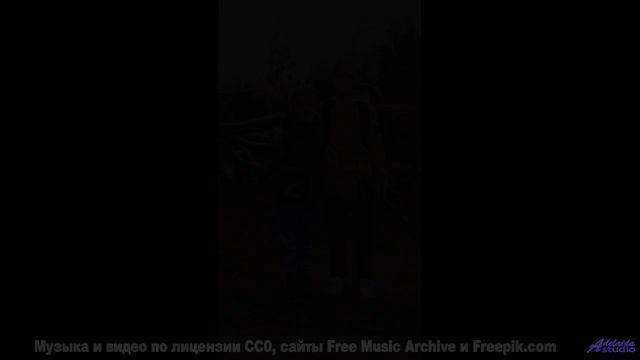 Музыка, которая синхронизирует ваши мозговые волны! - NPC Theme -- HoliznaCC0 -- ChipTunes