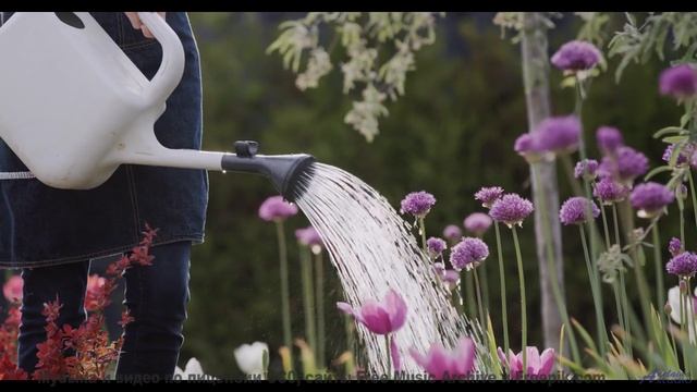 Природа, увиденная глазами искусственного сверхразума - новый взгляд на реальность! - You Loved Me O
