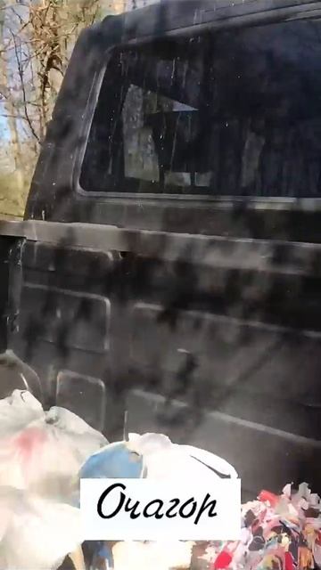 С праздником, праздничная песенка бурских   казаков! #козочкаалмеру #goat #животные #прикол #animals
