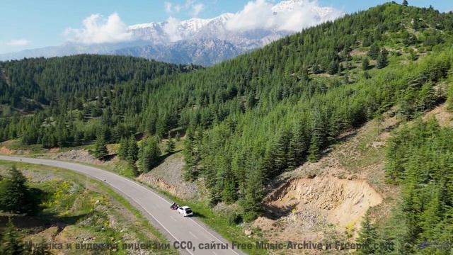 Музыка для цифрового воскрешения - где границы этики - El Camino del Alce -- Silva de Alegria -- Pri