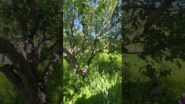 VID_20250528_145918