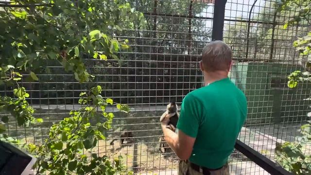 Олег Зубков принес маленького Финика родителям,но те прямо ОКРЫСИЛИСЬ на малыша