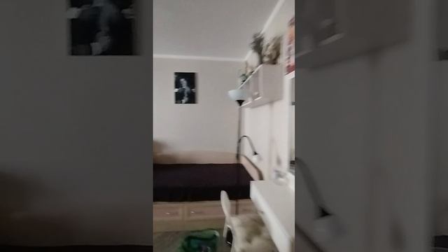 1000092307.mp4