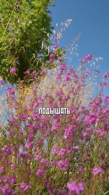 Почему этот ЖК – настоящий эталон?! #primavera #жк #новостройка
