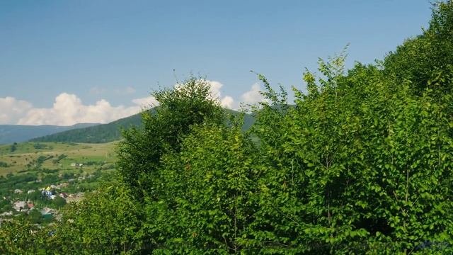 Это видео - как путешествие на край света! - Happy Dance -- Cedric Galke -- Unnamed album
