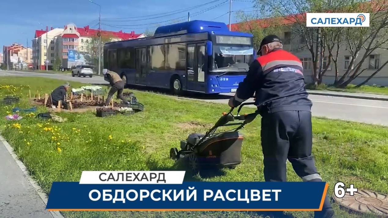 Цветочный фестиваль