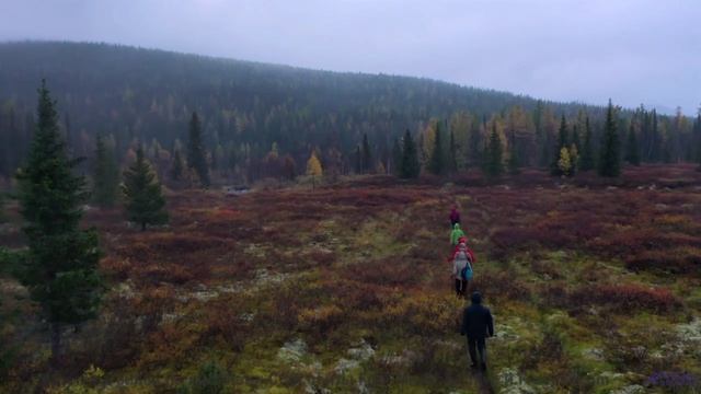 Самые завораживающие виды под хит года - Tightrope -- Kirk Osamayo -- Season Two (PURPLE)