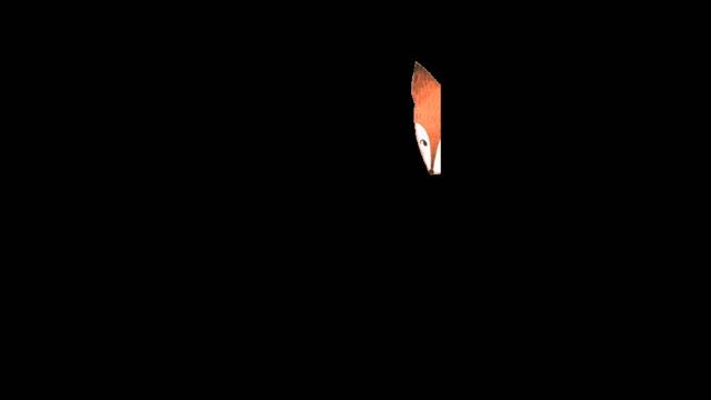 1000046565.mp4