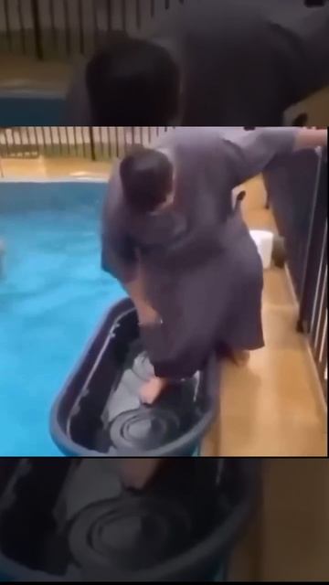 1000000407.mp4
