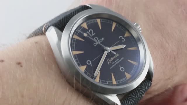 Omega Seamaster Railmaster ref,220.12.40.20.01.001