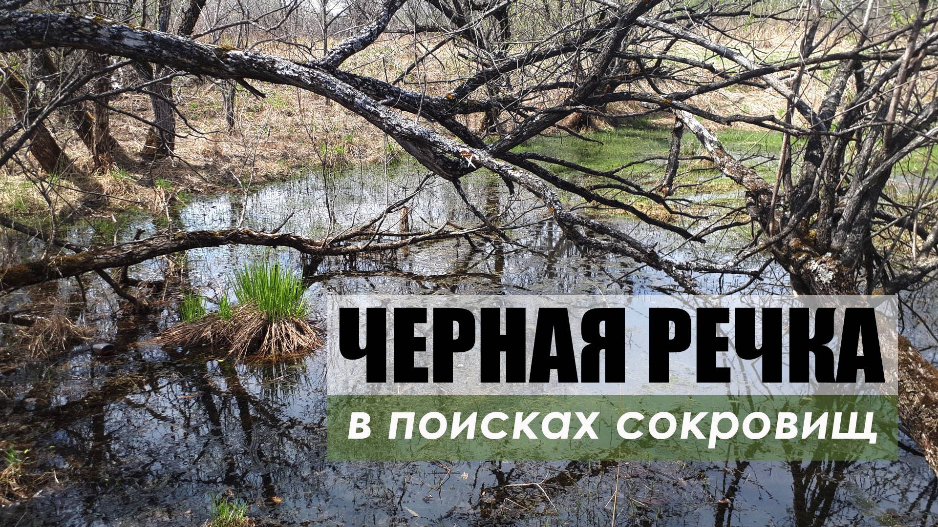 Черная речка. В поисках сокровищ.