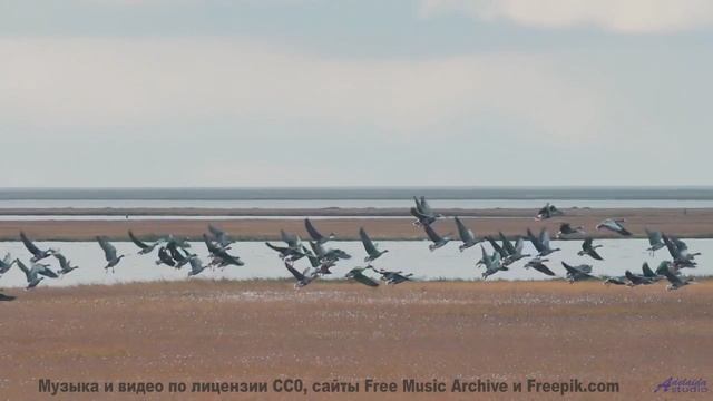Кадры, которые заставят вас усомниться в своих глазах! - Faults and All -- 10 Echo -- Unnamed album