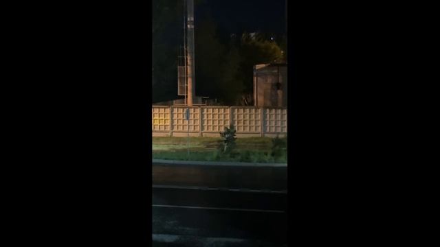 Дерево в Абакане