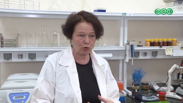 Пчелиные паспорта должны будут получать пчеловоды