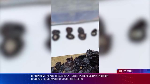 Н Тагил гашиш ФСИН