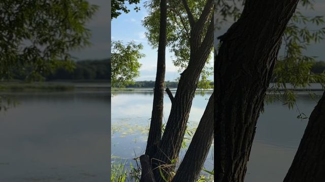 Участок мечты