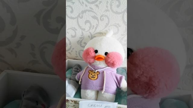 собираемся к Лесе с ночёвкой