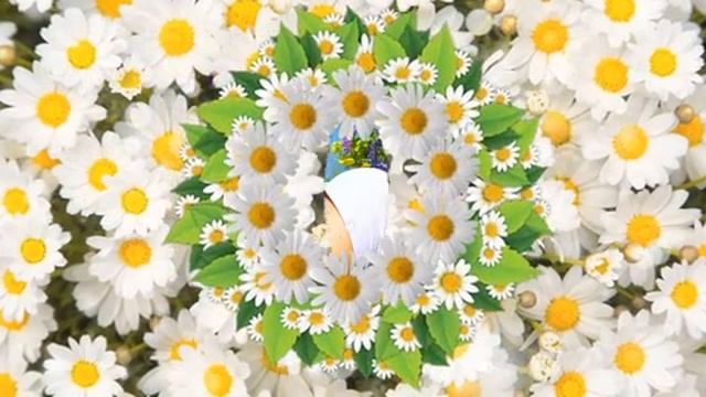 День равноденствия Музыкальная открытка поздравление.