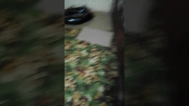 VID_20250620_133635.mp4