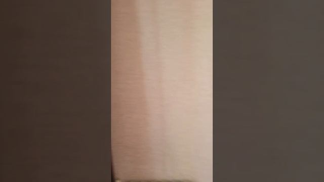 document_5382025159295136361