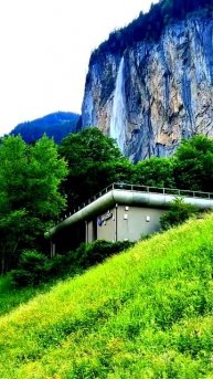 Всё произошло на камеру