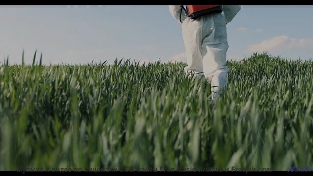 Эти кадры под этот саунд лечат без лекарств - Fantasy And Denouement -- Podington Bear -- Meet Podin