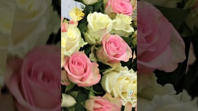 VID-20250617-WA0080