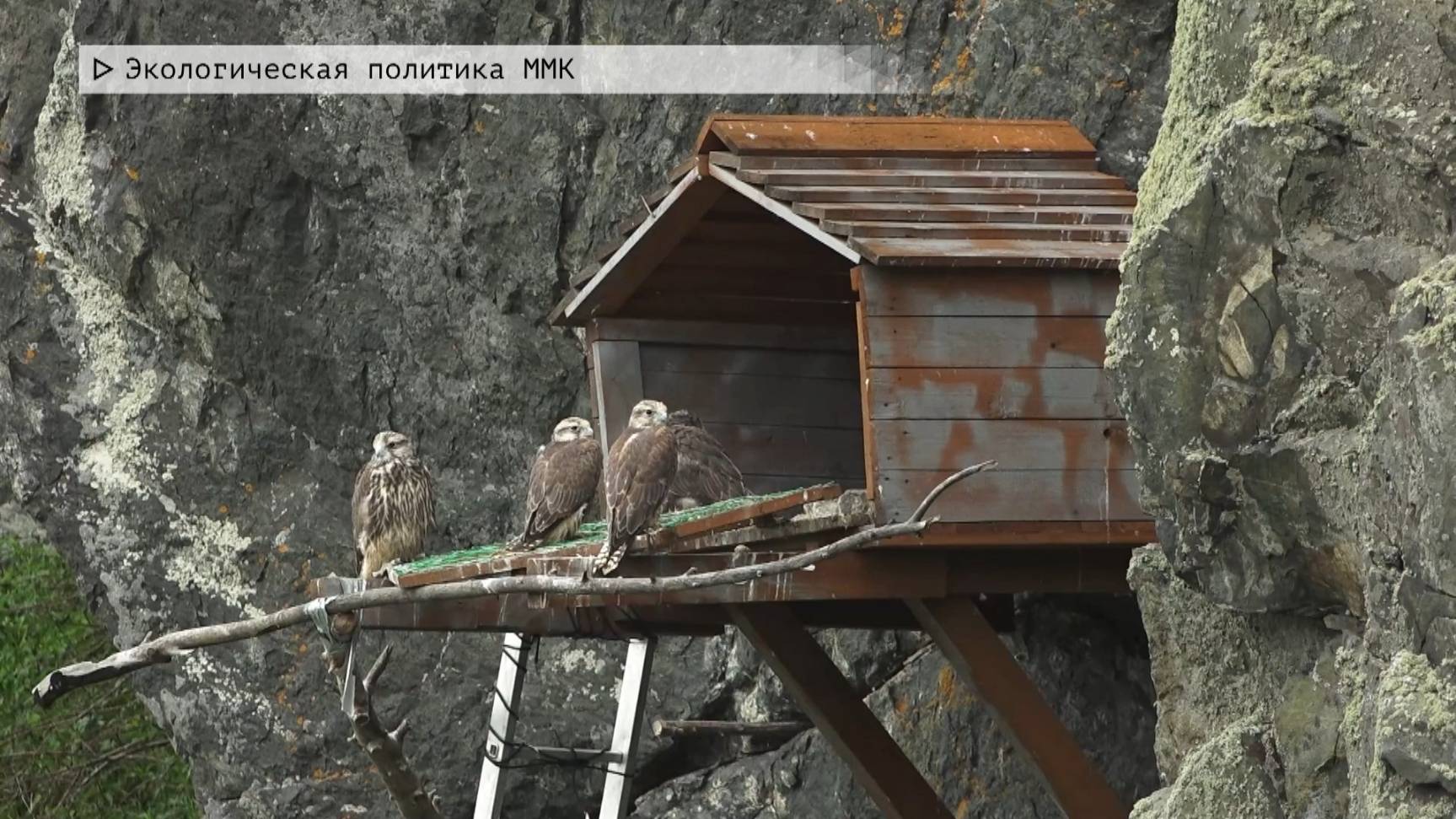 Время местное. Эфир: 20-06-2025 - Экологическая политика ММК