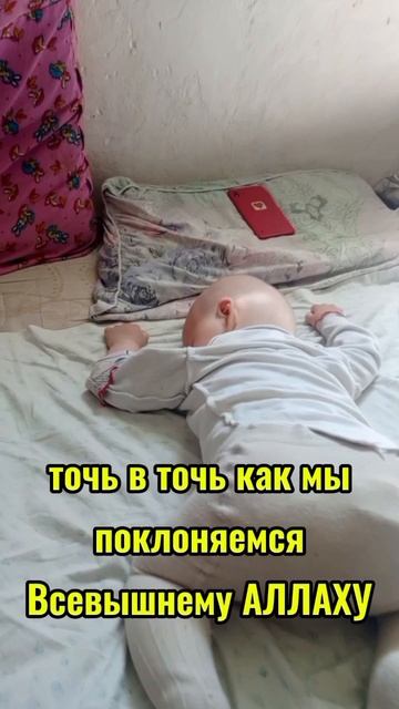 20.06.25г.