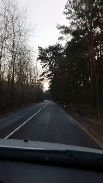 #куршскаякоса #roadtrip #travel #automobile