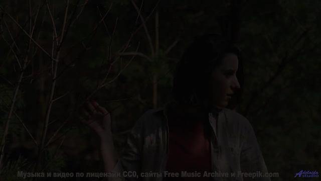 Ты НЕ ПОВЕРИШЬ, что это не голоса! - The Industry -- Mise Darling -- Rebel
