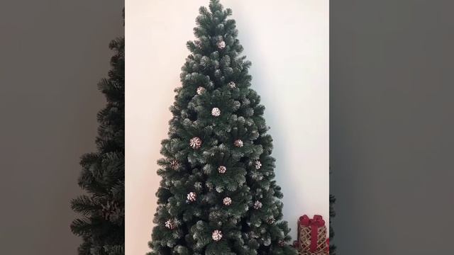 Ель "Снежная королева Заснеженная"